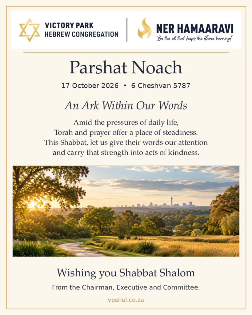 Noach — An Ark Within Our Words — VPHC Shabbat message